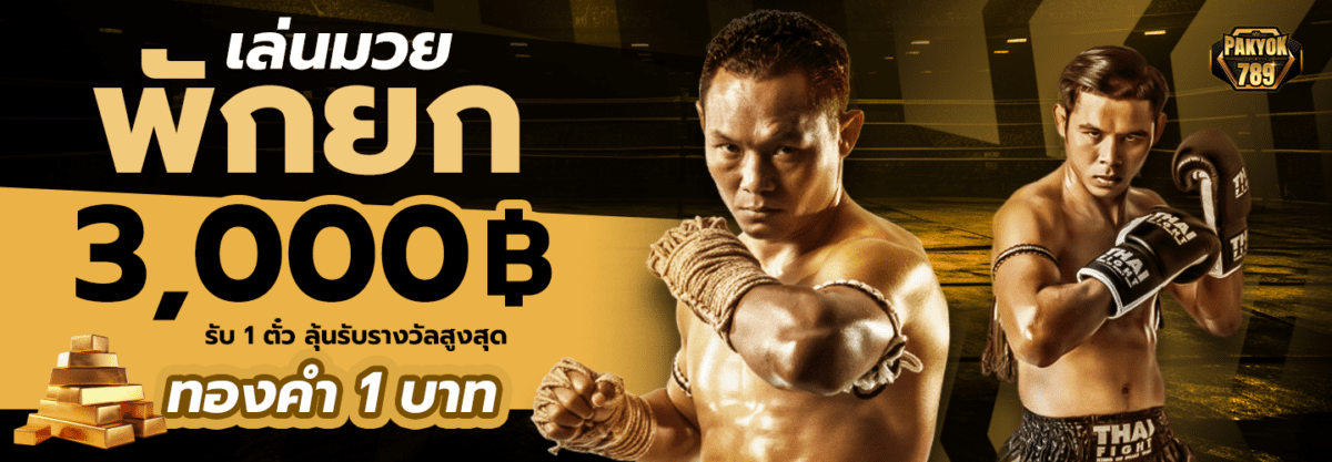 เล่นมวย ()