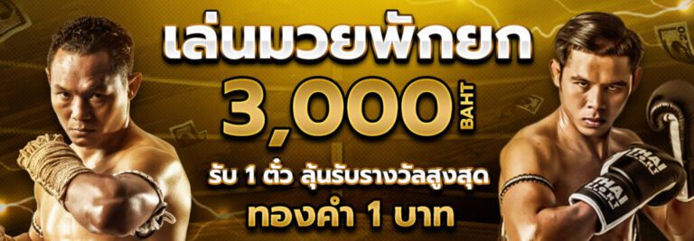 เล่นมวย เลือก Pakyok789 มวยตู้ แล้วคุณจะไม่ผิดหวัง